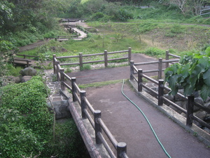 久米島ホタル館