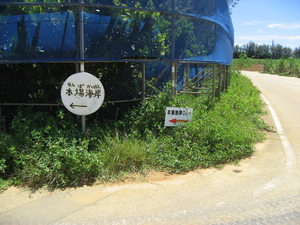 本場海岸