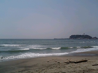 SURF DAYS