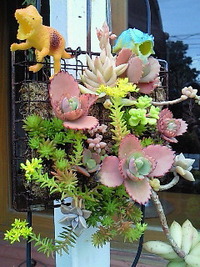 2012年04月19日
