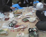 お花見~浜松城公園~