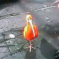 とり~!