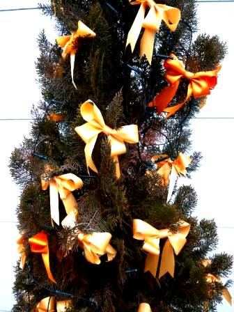 Orange Tree