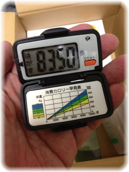 キューサイのはちみつ青汁スティックタイプ