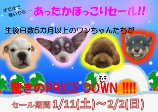 ★あったかほっこりセール★