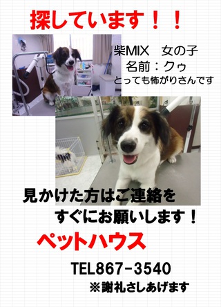 ご協力をお願いいたします!!!!!
