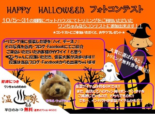 ★愛犬★