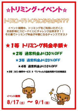 8月28日の記事