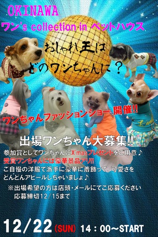★もぅすぐXmas★