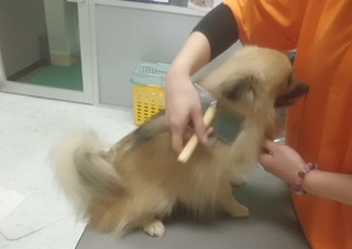 ★お手入れ教室★ ★お手入れ教室★