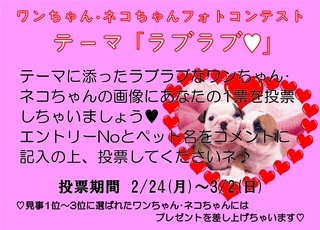 ☆フォトコンテスト、応募締切☆