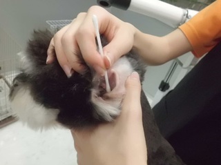★お手入れ教室★ ★お手入れ教室★