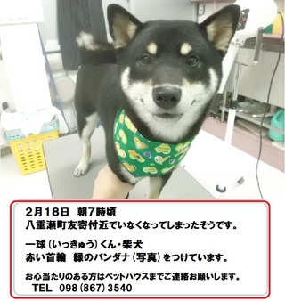 ☆フォトコンテスト☆