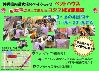 ポイント2倍デー!!!!!!!