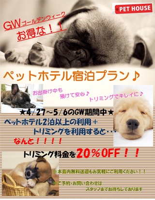 GW☆ペットホテルお得プラン