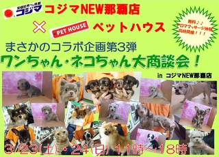 ☆イベント情報☆