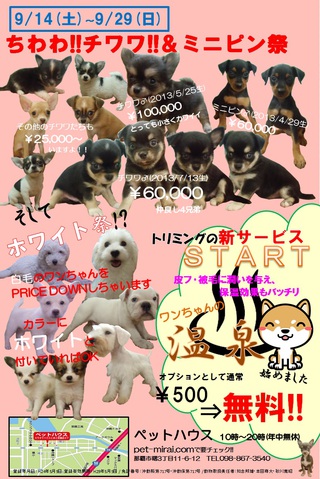 ☆SALE本日まで!!!!!!!☆