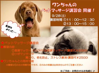 ペットマッサージ講習会のお知らせ~♪♪