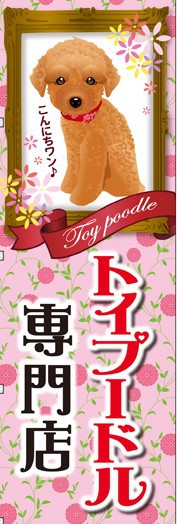 トイプードル★タイニー予想のディープレッド★ トイプードル★タイニー予想のディープレッド★