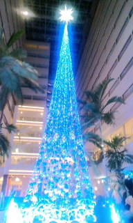 2011年12月19日