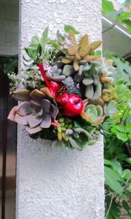 2011年12月07日