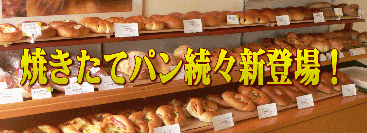 ベイクドチーズの石垣Patissiere