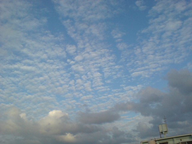 ◎こんな日は。。