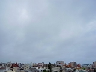 今日の沖縄!! 100616。天気予報の日 & 麦とろの日。