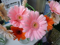 訃報 2012/04/24 12:14:34
