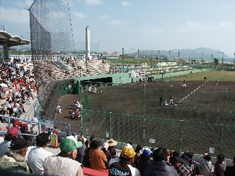 今日は紅白戦
