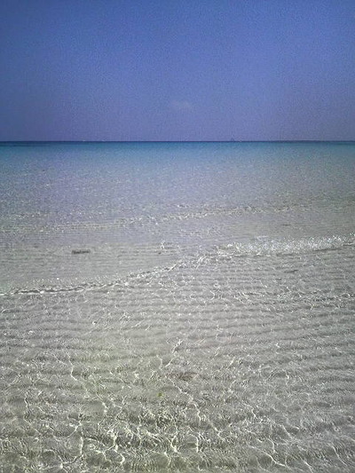 はての浜の写真