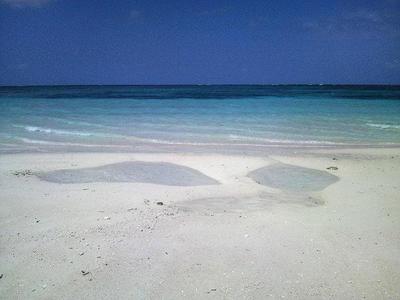 はての浜の写真