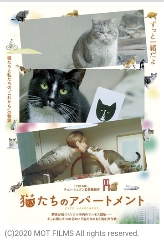☆韓国映画「猫たちのアパートメント」