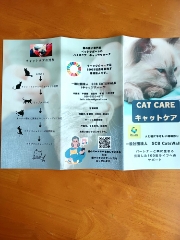 ☆一般社団法人SCB CatsWalk猫環境コーディネーター
