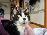 ラジオ版☆天使にハミング♪ ラジオ版☆天使にハミング♪
