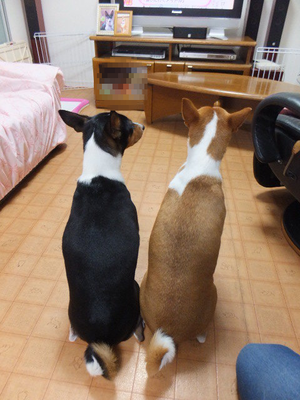 お日様の出待ち♪ お日様の出待ち♪
