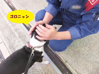 梅雨の晴れ間って言ってたのに。。 梅雨の晴れ間って言ってたのに。。