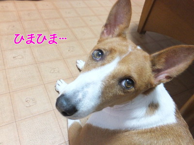 あれ!?台風は!? あれ!?台風は!?