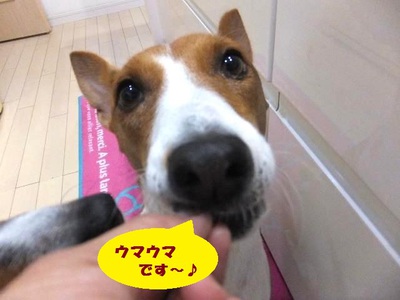 台風12号・・・忘れたころに暴風雨。。 台風12号・・・忘れたころに暴風雨。。
