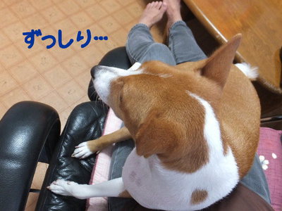 イヤイヤ星人降臨といろいろ~。。 イヤイヤ星人降臨といろいろ~。。