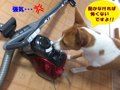 水曜日のいろいろ。。 水曜日のいろいろ。。