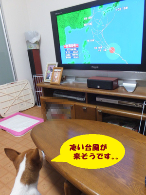 ルビーさんの顔ったら・・・(笑) ルビーさんの顔ったら・・・(笑)