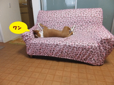 日曜日はのんびりと(^^) 日曜日はのんびりと(^^)