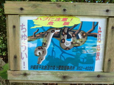 月一のウマウマ♪ 月一のウマウマ♪