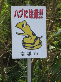 月一のウマウマ♪ 月一のウマウマ♪