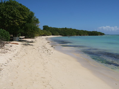 カリブ海漫遊記・グアドループ島写真日記