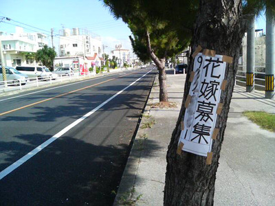 花嫁募集!