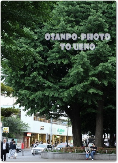 Osanpo*photo UENO【Sequel】