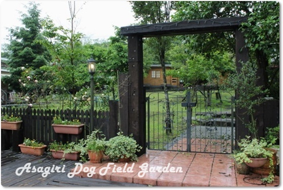 Field Dogs Garden 【DAY 2】