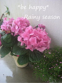 沖縄★梅雨入り